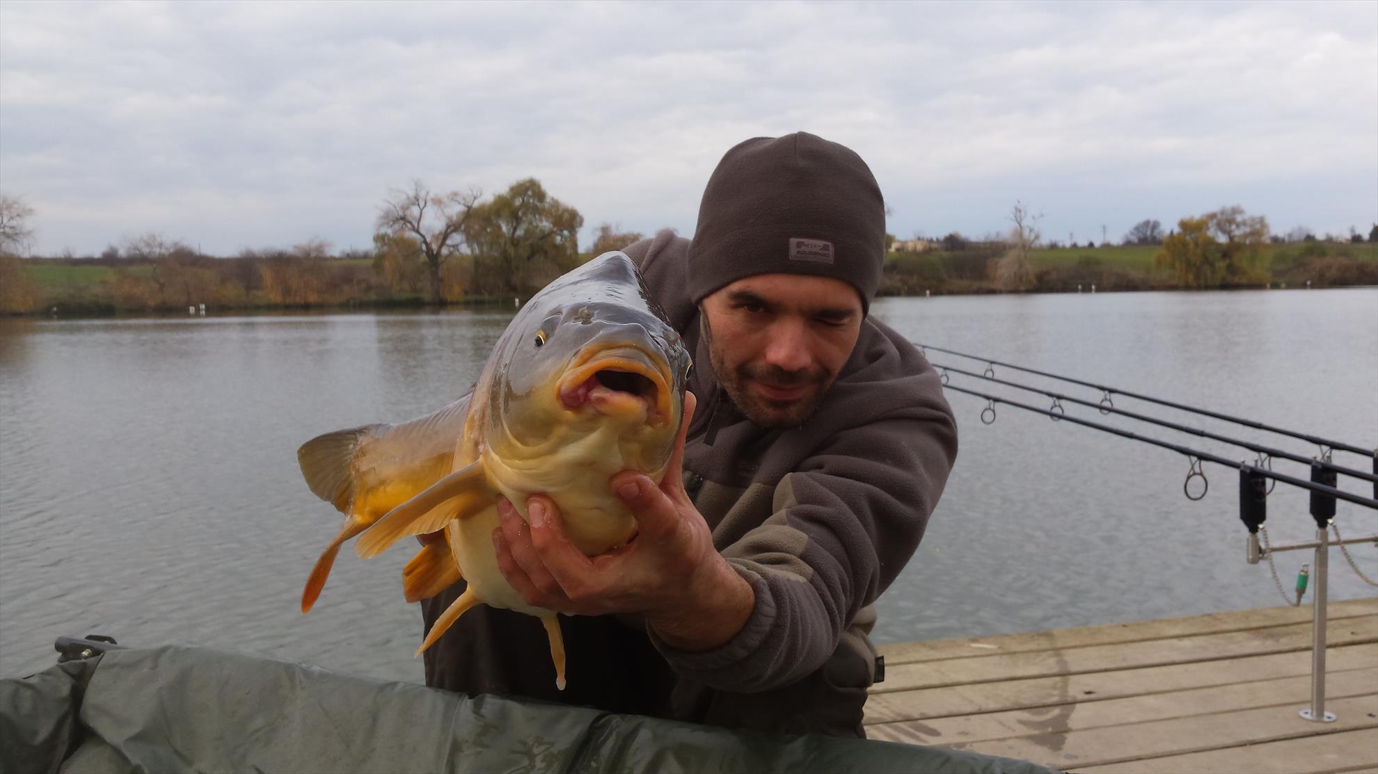 Hermes Peris 22 noiembrie 2015 - 20151122104107.jpg